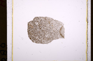 Plane Polarized, E17918