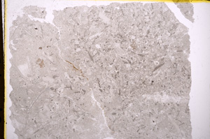 Plane Polarized, E17935