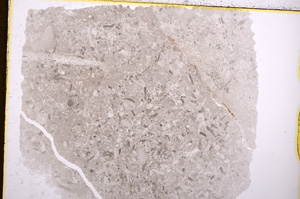 Plane Polarized, E17935/A