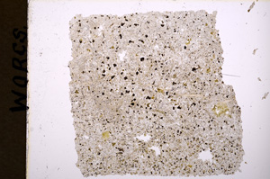 Plane Polarized, E17945