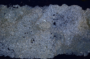 Cross Polarized, E17946