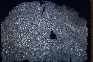 Cross Polarized, E17947