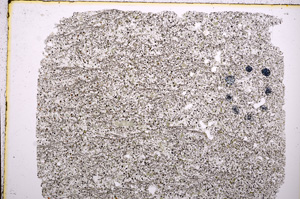 Plane Polarized, E17948