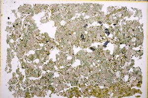 Plane Polarized, E17949