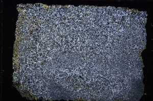 Cross Polarized, E17951