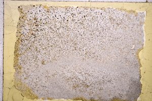 Plane Polarized, E17951