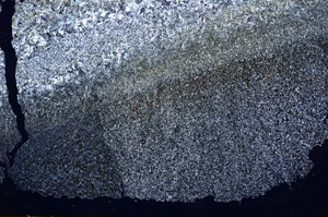 Cross Polarized, E17952