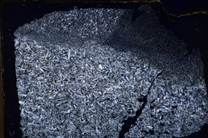 Cross Polarized, E17953