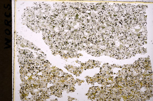 Plane Polarized, E17955