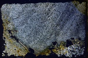 Cross Polarized, E17956