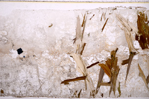 Plane Polarized, E17959