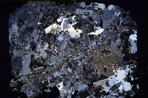 Cross Polarized, E17971