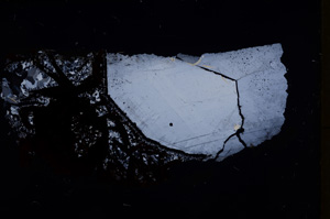 Cross Polarized, E17972/A