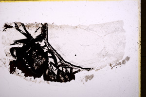 Plane Polarized, E17972/A