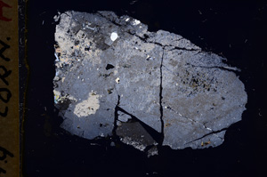 Cross Polarized, E17974
