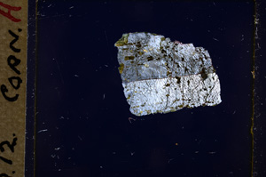 Cross Polarized, E17975