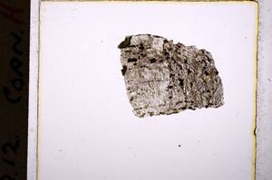 Plane Polarized, E17975
