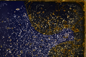 Cross Polarized, E17976