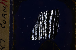 Cross Polarized, E17979