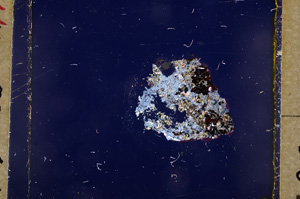 Cross Polarized, E17983