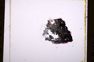 Plane Polarized, E17983