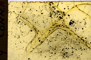 Plane Polarized, E17985/A