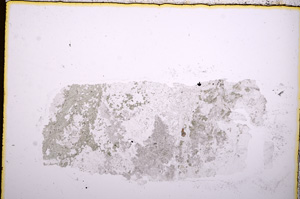 Plane Polarized, E17988