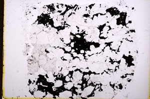 Plane Polarized, E17989