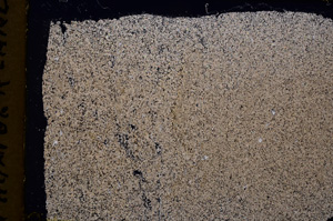 Cross Polarized, E17998