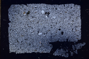 Cross Polarized, E18001