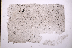 Plane Polarized, E18001