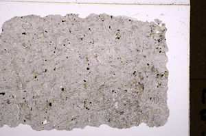 Plane Polarized, E18003