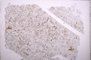 Plane Polarized, E18005