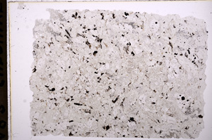 Plane Polarized, E18006