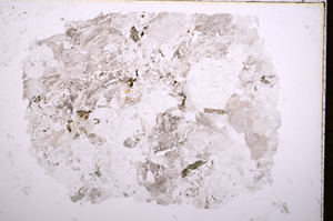 Plane Polarized, E18007