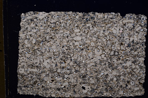 Cross Polarized, E18013