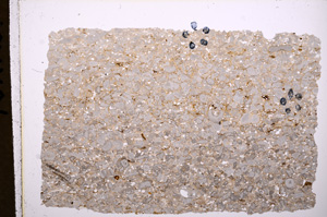 Plane Polarized, E18013