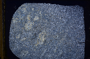 Cross Polarized, E18030