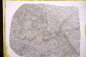 Plane Polarized, E18030