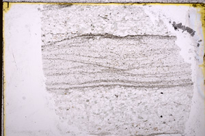 Plane Polarized, E18032