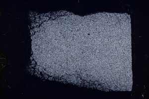 Cross Polarized, E18033