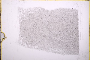 Plane Polarized, E18033