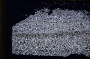 Cross Polarized, E18036