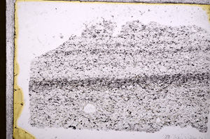 Plane Polarized, E18036