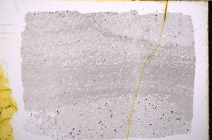 Plane Polarized, E18039
