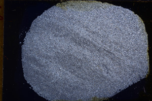 Cross Polarized, E18041