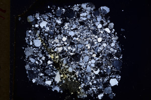 Cross Polarized, E18045