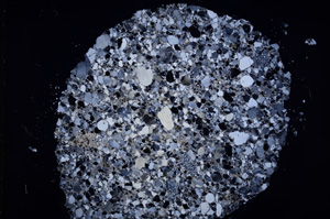 Cross Polarized, E18050