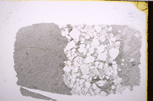 Plane Polarized, E18053