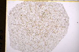 Plane Polarized, E18054